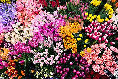 Switch 2西班牙首周销量突破10万 主机销售历史新纪录