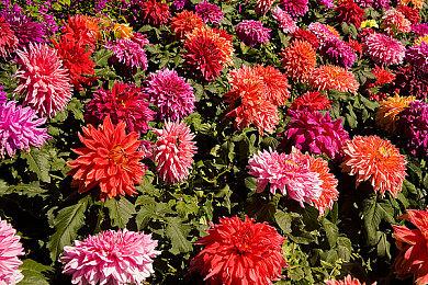 《机甲战魔 神话之裔》公开最新宣传影片！ 包含故事剧情与游戏系统在内的最新资讯现已公开！